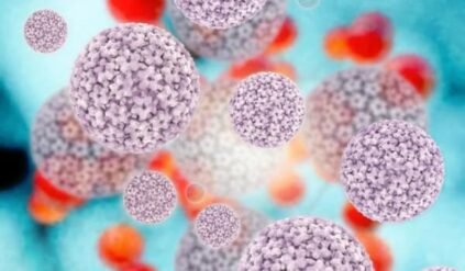 Do the vaccines contain viruses?