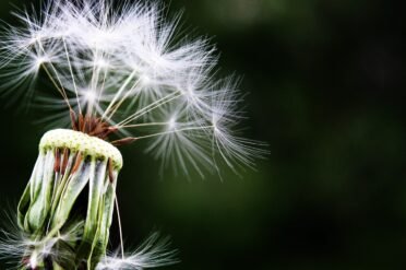 Τι να αποφύγετε αν υποφέρετε από αλλεργικό άσθμα