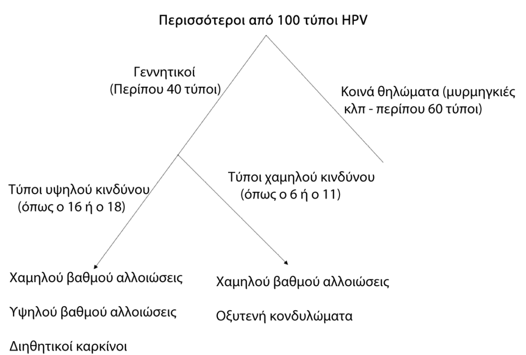 diagramm