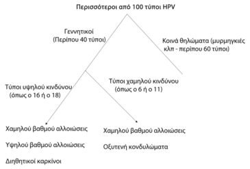 What are the symptoms of HPV infection?