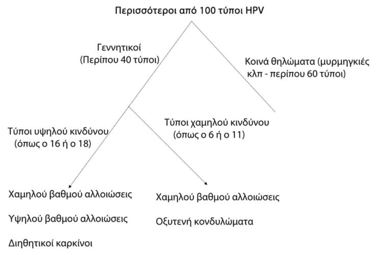 What are the symptoms of HPV infection?