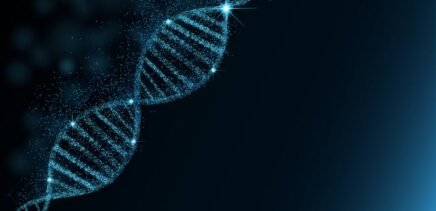 Are there HPV tests that show the type of the virus?