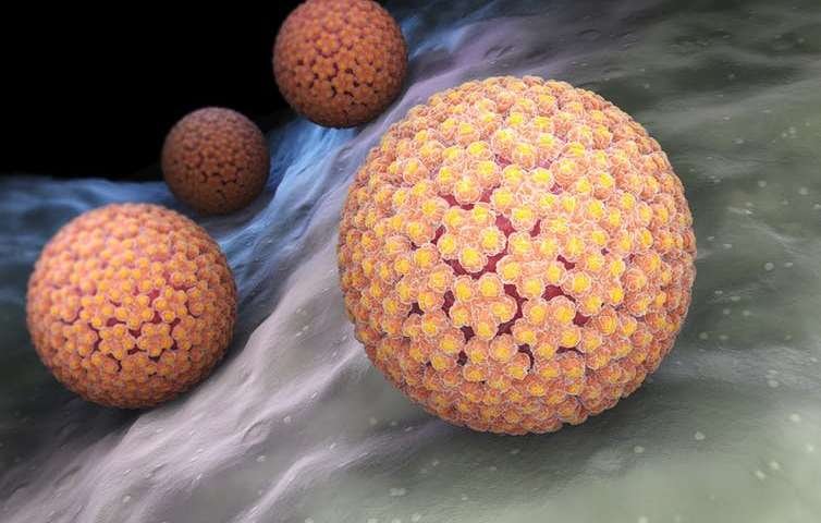 What are subclinical lesions caused by HPV?