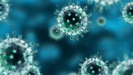 hpv_virus__consequences_of_infection_1919_x