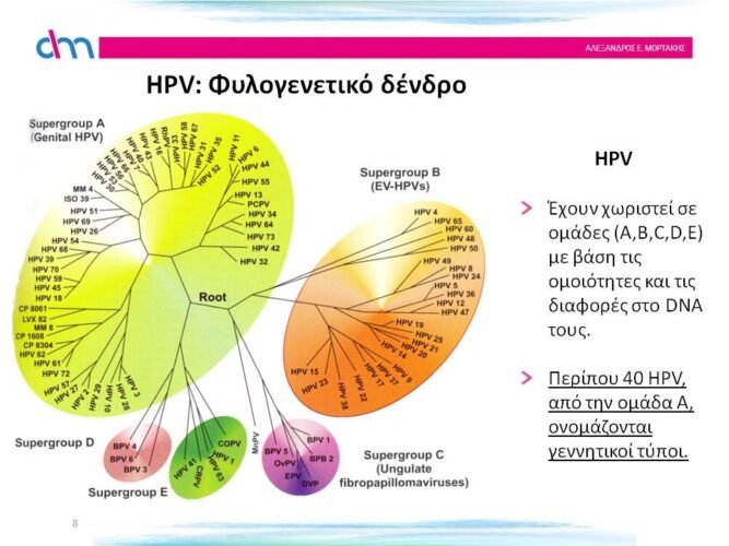High-risk HPVs: what do they cause?