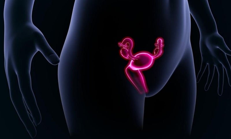 Όργανα-στόχοι των HPV