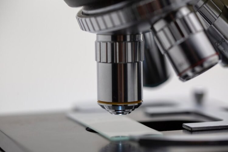 What can the examination of the cervical cells under the microscope show?