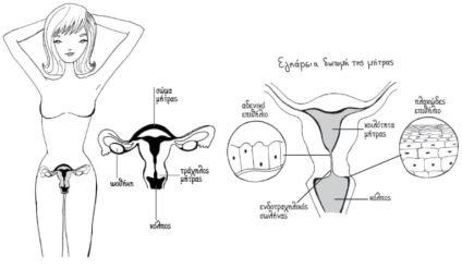 Αδενοκαρκίνωμα τραχήλου μήτρας In Situ – AIS